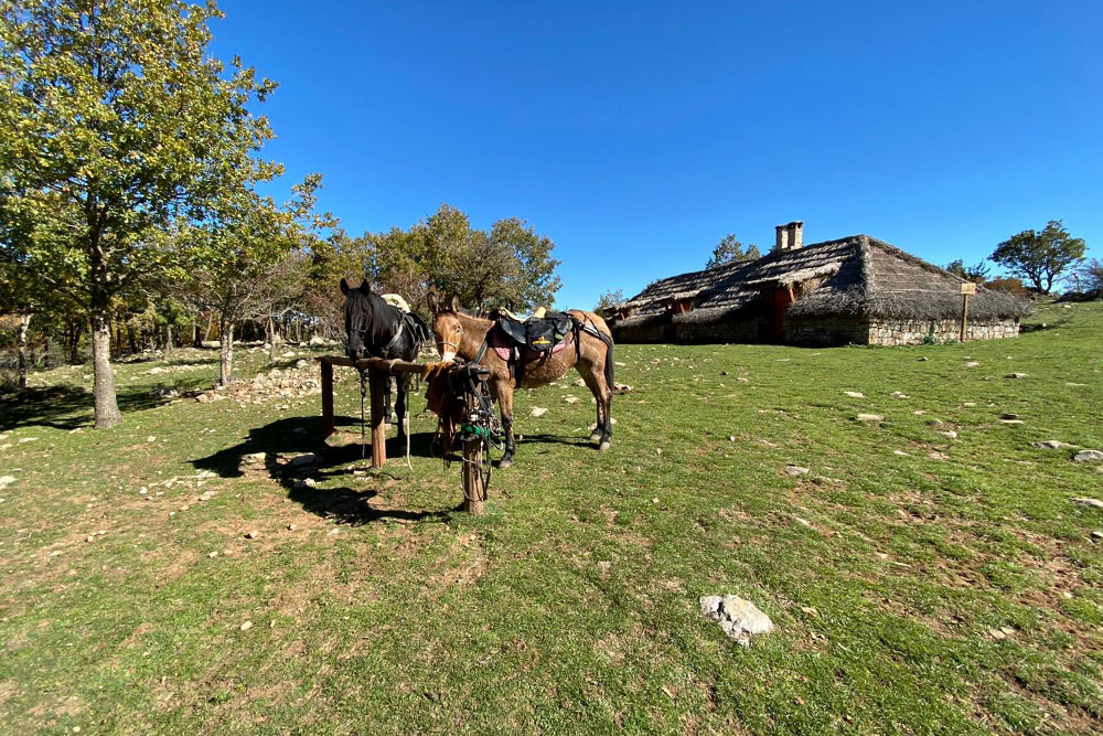 Escursioni a cavallo in Sicilia