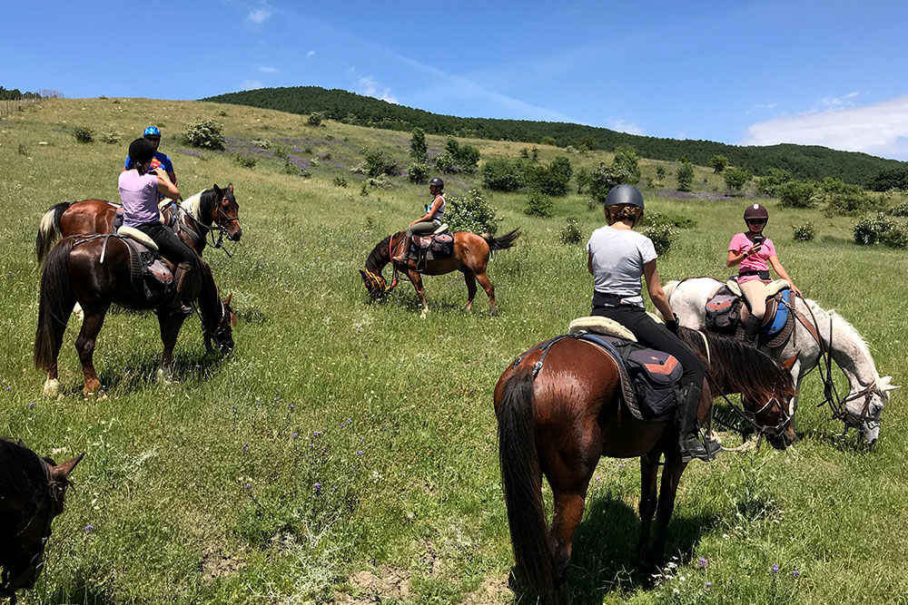 Escursioni a cavallo in Sicilia