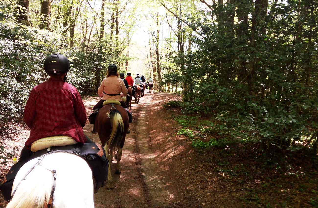 Itinerari - Sicily on Horseback Palermo Collesano