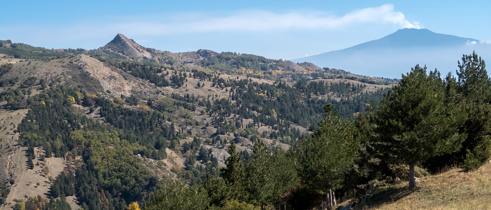 Escursioni a cavallo in Sicilia