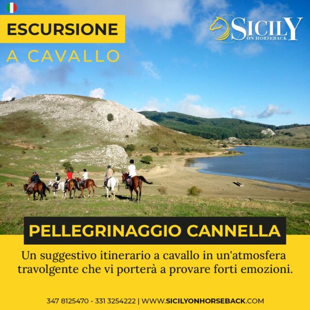 🇮🇹 𝗘𝗦𝗖𝗨𝗥𝗦𝗜𝗢𝗡𝗘 𝗔 𝗖𝗔𝗩𝗔𝗟𝗟𝗢 ➡ PELLEGRINAGGIO CANNELLA
Un suggestivo itinerario a cavallo in un'atmosfera travolgente che vi porterà a provare forti emozioni.

Leggi di più 👉 https://www.sicilyonhorseback.com/it/pellegrinaggio-cannella/

🇬🇧 𝗘𝗫𝗖𝗨𝗥𝗦𝗜𝗢𝗡 𝗢𝗡 𝗛𝗢𝗥𝗦𝗘𝗕𝗔𝗖𝗞 ➡ CANNELLA PILGRIMAGE
A suggestive itinerary on horseback in an overwhelming atmosphere that will lead you to experience strong emotions.

Read more 👉 https://www.sicilyonhorseback.com/cannella-pilgrimage/

📌 Contatti/Contact
☎ 347 8125470 | 331 3254222
🌐 www.sicilyonhorseback.com
📧 info@sicilyonhorseback.com
📍 C.da Pozzetti, Collesano (PA)

#sicilyonhorseback #siciliaacavallo #escursioni #itinerari #escursioneacavallo #escursioniapiedi #itinerariacavallo #itinerariapiedo #escursionimadonie #escursionietna #madonie #parcodellemadonie #etna #sicilia