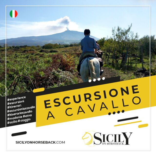 🇮🇹 Ami i cavalli e la natura? Cerchi una fuga dalla frenesia di tutti i giorni? Vivi la tua EXEPERINCE con 𝗦𝗶𝗰𝗶𝗹𝘆 𝗼𝗻 𝗛𝗼𝗿𝘀𝗲𝗯𝗮𝗰𝗸! 🏇
𝗘𝘀𝗰𝘂𝗿𝘀𝗶𝗼𝗻𝗶 𝗽𝗿𝗼𝗳𝗲𝘀𝘀𝗶𝗼𝗻𝗮𝗹𝗶 𝗮 𝗰𝗮𝘃𝗮𝗹𝗹𝗼 nei parchi della 𝗦𝗶𝗰𝗶𝗹𝗶𝗮: Madonie, Nebrodi ed Etna, con i migliori cavalli autoctoni siciliani, addestrati con metodo Gentle Horsemanship.

⛰ Visita il sito e scopri tutti gli 𝗶𝘁𝗶𝗻𝗲𝗿𝗮𝗿𝗶 👉 https://www.sicilyonhorseback.com/it/a-cavallo/

🗓 Consulta il calendario e scegli l'escursione che più ti piace 👉 https://www.sicilyonhorseback.com/it/eventi/

📌 Per info e prenotazioni
☎ 347 8125470 | 331 3254222
🌐 www.sicilyonhorseback.com
📧 info@sicilyonhorseback.com
📍 C.da Pozzetti, Collesano (PA)

#sicilyonhorseback #siciliaacavallo #experience #escursioni #itinerari #escursioneacavallo #itinerariacavallo #madonie #etna #nebrodi #sicilia #vacanza #viaggio