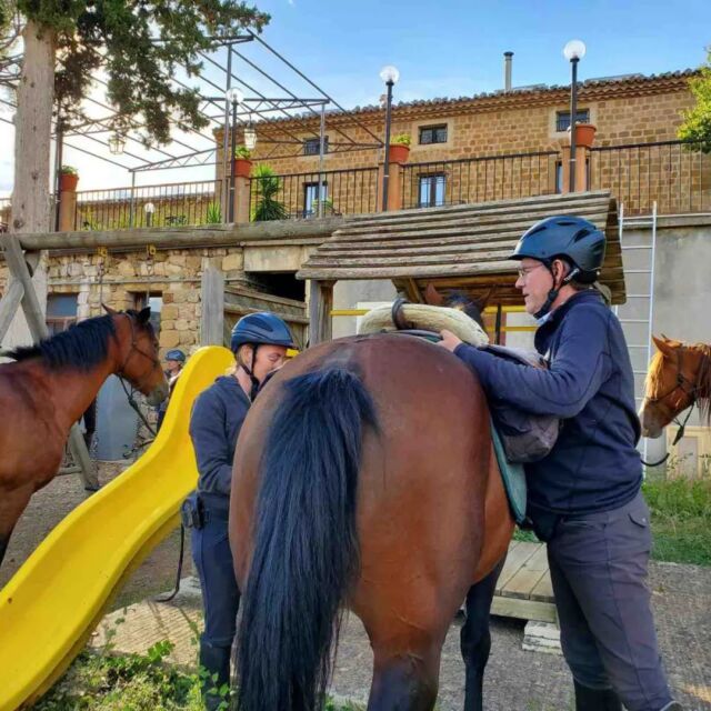 A short view on our Etna ride 🐎

#sicilyonhorseback #sicilytourism #horseriding #horseridingholidays #sicilianhorses #discoversicily #ridewithus #leaveyourdream #friends #together #gangi #montesoprano #villamiraglia #fucinadivulcano #etna #rainbow #horses #enjoythelife #sicily