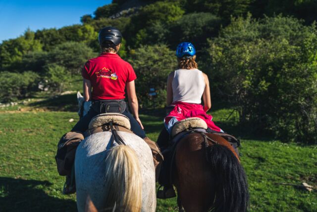 𝐒𝐢𝐜𝐢𝐥𝐲 𝐎𝐧 𝐇𝐨𝐫𝐬𝐞𝐛𝐚𝐜𝐤 è una proposta di turismo diversa dal solito. 🍃

Infatti con noi starete a stretto contatto con la natura e i luoghi incontaminati tra boschi, valli e colline che saranno lo scenario perfetto per le vostre escursioni a cavallo. 🏇

Potrete scegliere fra tanti possibili persorsi: 𝐌𝐚𝐝𝐨𝐧𝐢𝐞, 𝐍𝐞𝐛𝐫𝐨𝐝𝐢, 𝐄𝐭𝐧𝐚 e tanti altri.

Cosa stai aspettando?

Visita il nostro sito!

Info e contatti:
📍 C.da Pozzetti, Collesano (PA)
📞 347 8125470 | 331 3254222
📧 info@sicilyonhorseback.com

•
•
•

#sicilyonhorseback #siciliaacavallo #experience #escursioni #itinerari #escursioneacavallo #sicily